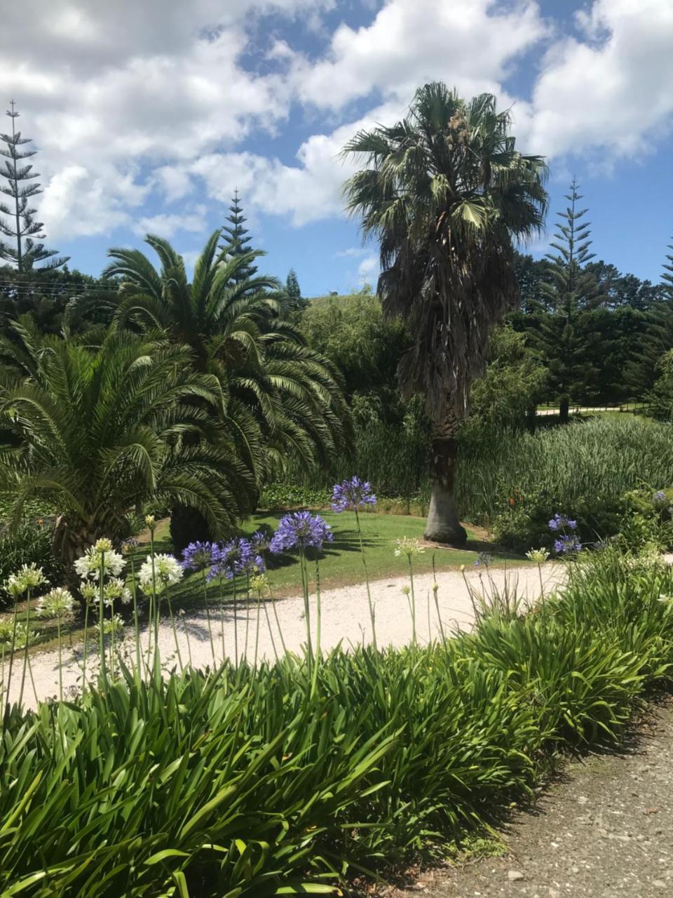 וונגאמאטה Paradise Grove מראה חיצוני תמונה