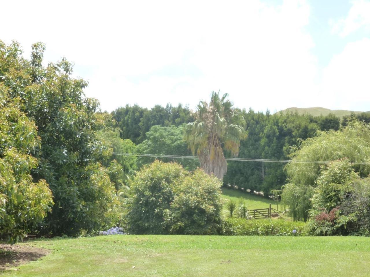 וונגאמאטה Paradise Grove מראה חיצוני תמונה
