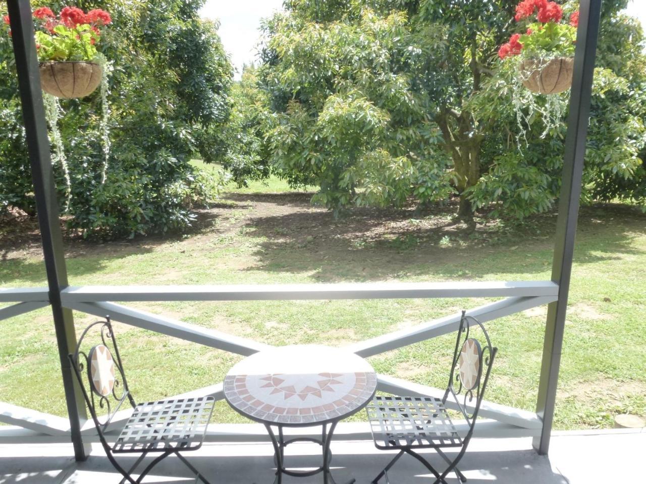 וונגאמאטה Paradise Grove מראה חיצוני תמונה